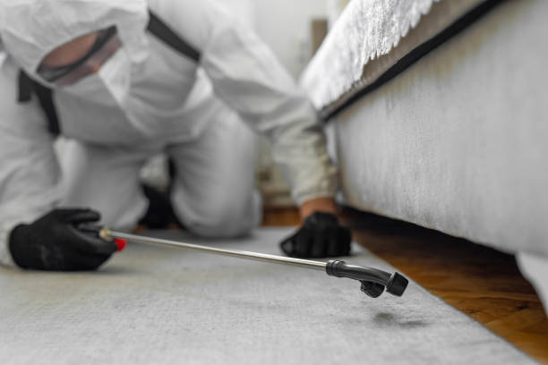 Professional Termite Control technician working in Pratt, KS
