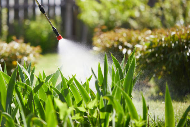 24/7 Emergency Termite Control experts in Pratt, KS