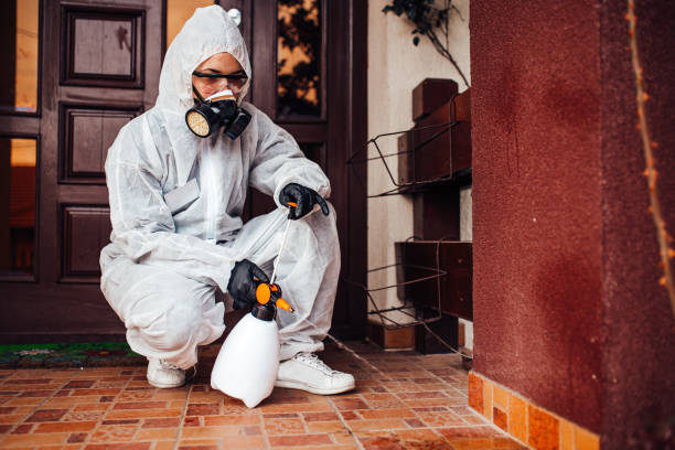 Reliable Termite Control contractor in Pratt, KS by Nex Pest Control